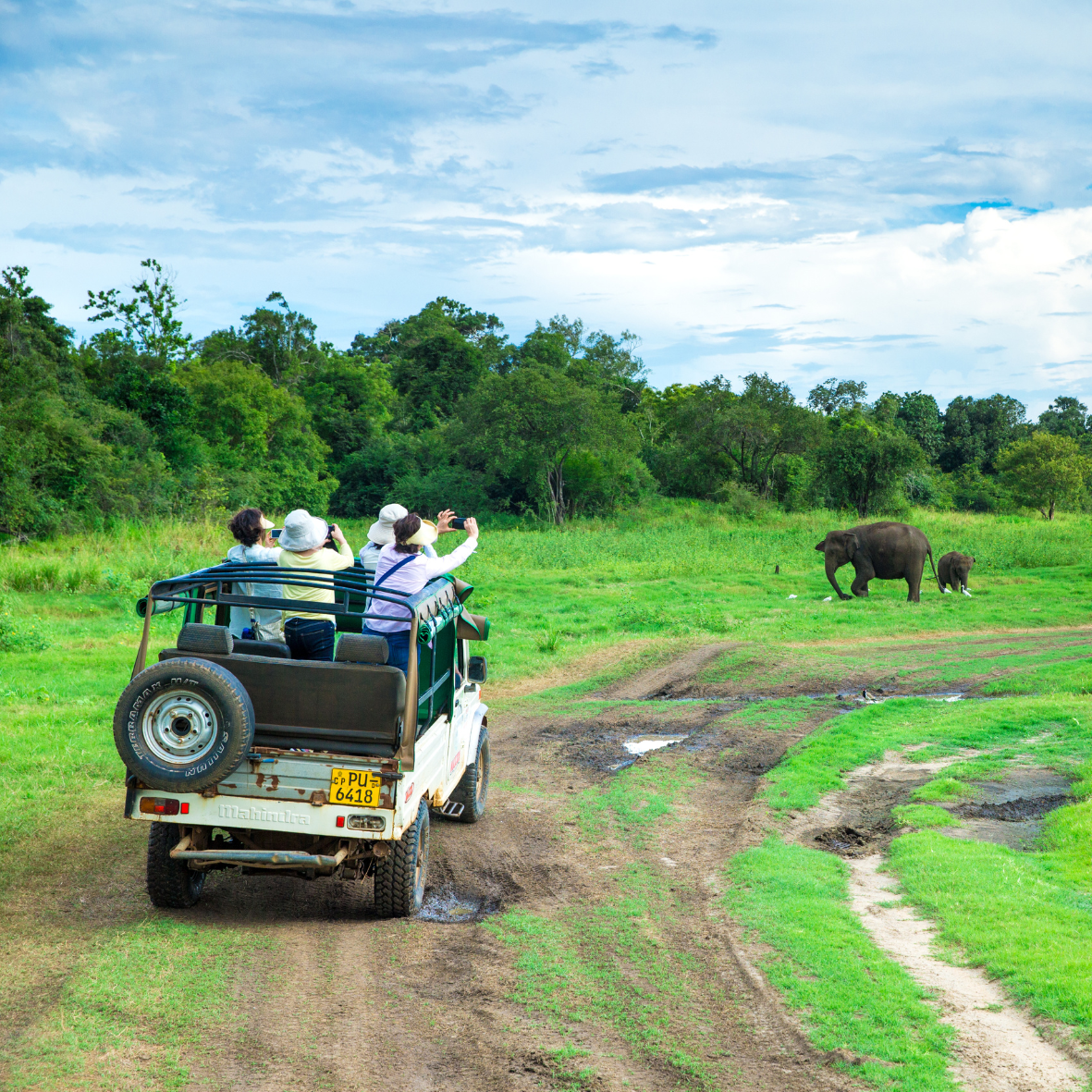Photo of SRI LANKA & MALEDIVEN - GROEP 1